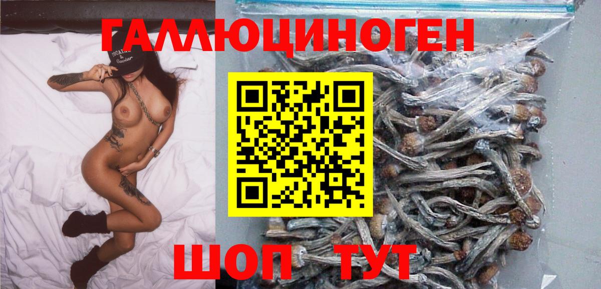 Галлюциногенные грибы GOLDEN TEACHER Стрежевой