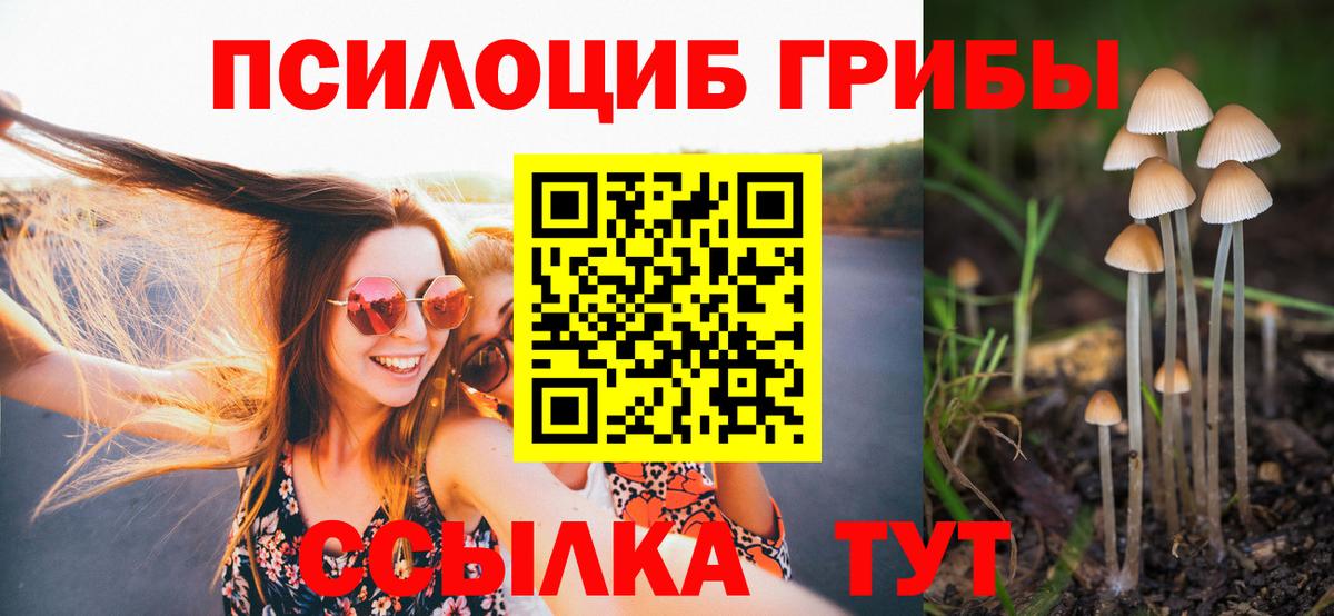Стрежевой  Галлюциногенные грибы мицелий  Галлюциногенные грибы мицелий  Вход с VPN 